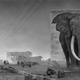 ‘Road With Elephant’